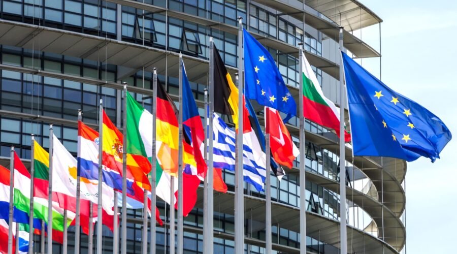 EU Company Tax Disclosures | Tax Transparency Requirements