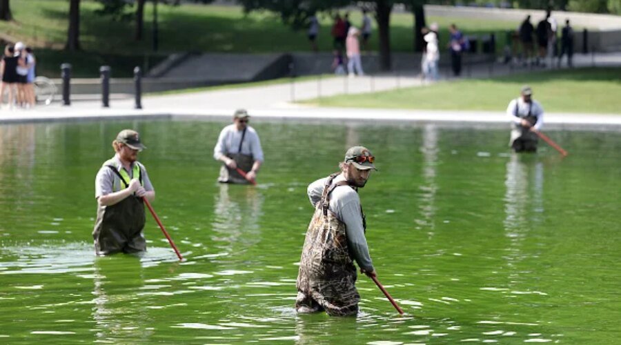 Litigants Ask To Check Reflecting Pool For ‘Sabotage’