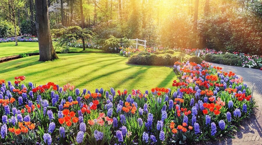 Should You Take Out a Loan to Improve Your Yard? What to Consider Before You Borrow. – NFCC