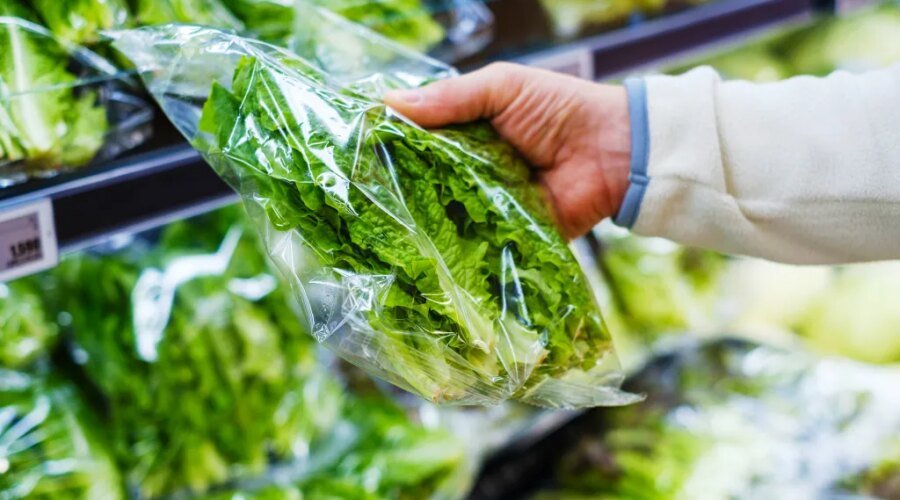 Parasite Outbreak Sends Lettuce Industry Into a PR Crisis
