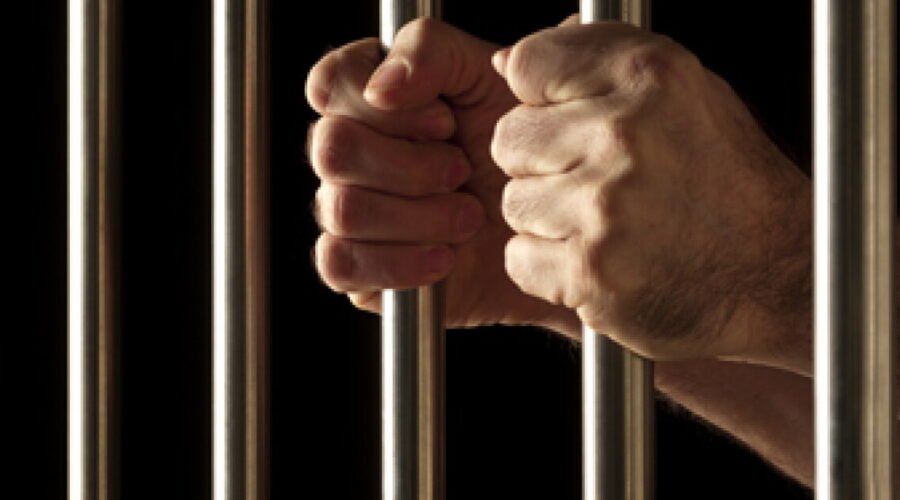 Tax Fraud Blotter: Win some, lose some
